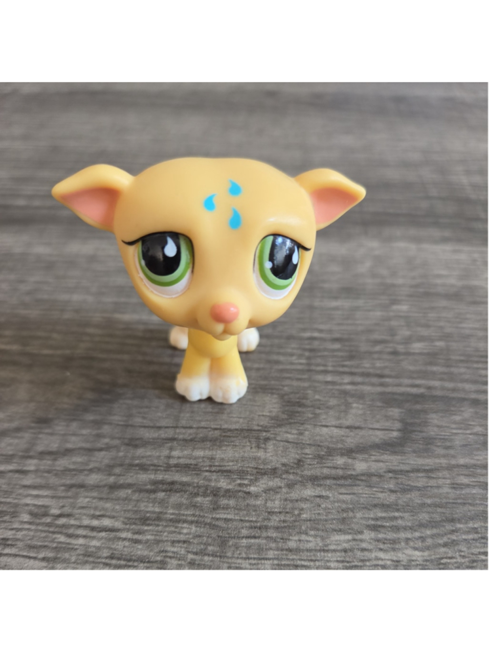 ❤️ LPS Littlest Pet Shop #875 Yellow Greyhound Dog Authentic